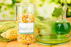 Fogo biofuel availability