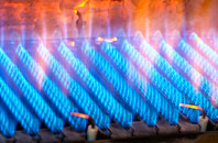 Fogo gas fired boilers